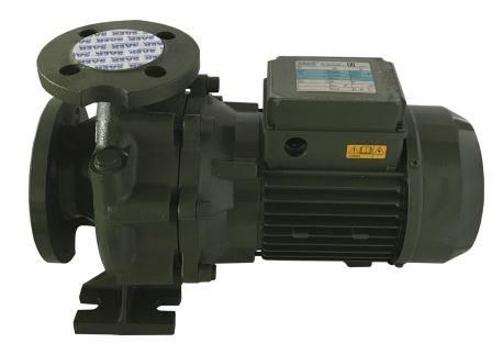 Насосный агрегат моноблочный фланцевый SAER IR 40-125A в Санкт-Петербурге 